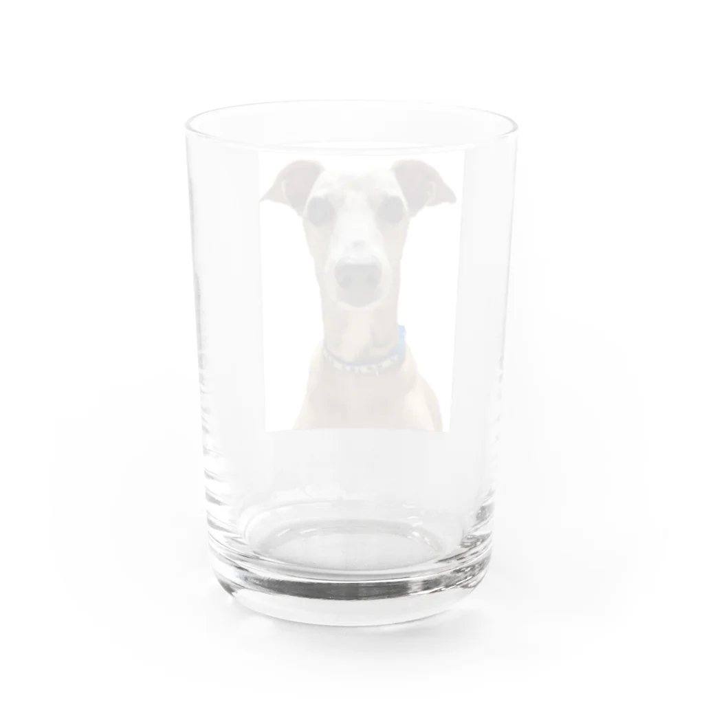 yukari.kのWater Glass :back