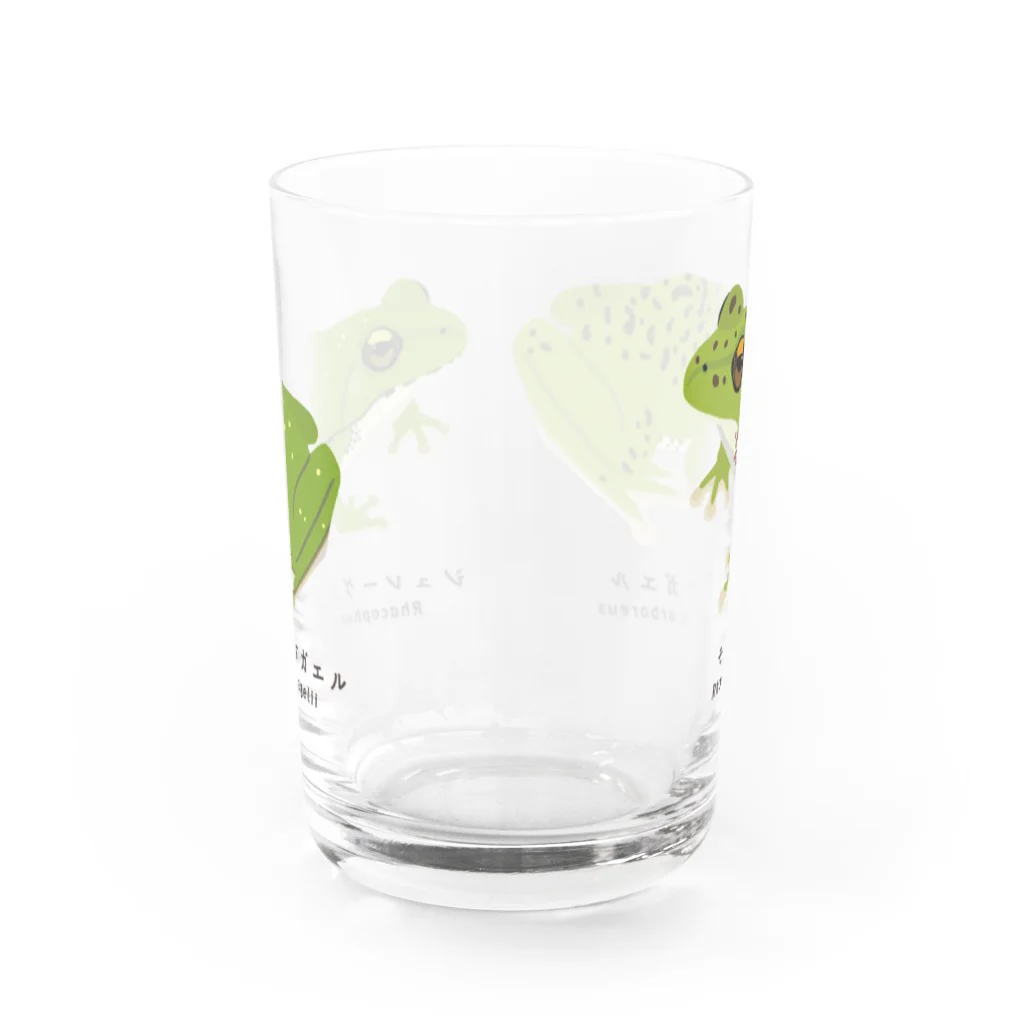 さちこの生物雑貨のアオガエル2種 Water Glass :back