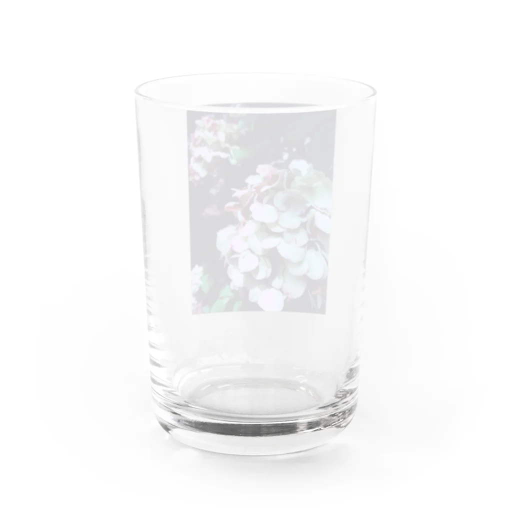 ゆるゆる生きる虎子のよるあじさい Water Glass :back