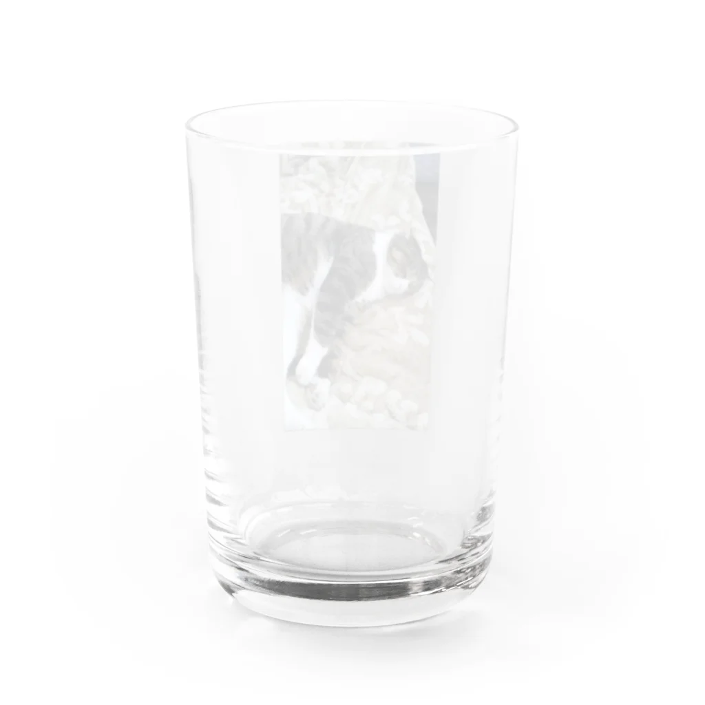 豆もち（沢山の色々な推しの幸せ祈ります）のゴロンとにゃんこ Water Glass :back