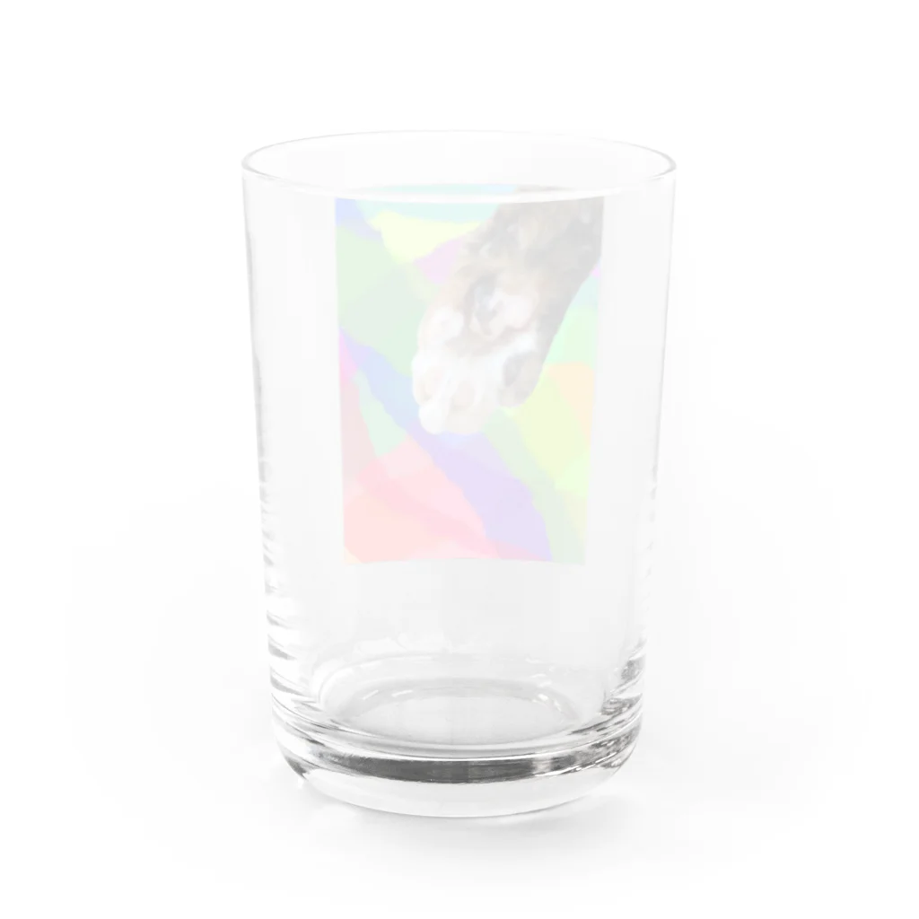 ちょこれーときゃっとのチョコっと肉球 Water Glass :back