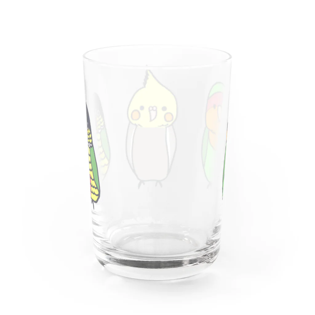 PYPショップの名前なしカラー版　よもぽぽぴぃ Water Glass :back