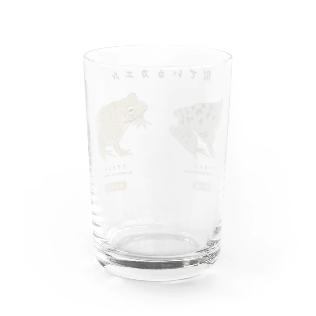 さちこの生物雑貨のツチとヌマ Water Glass :back