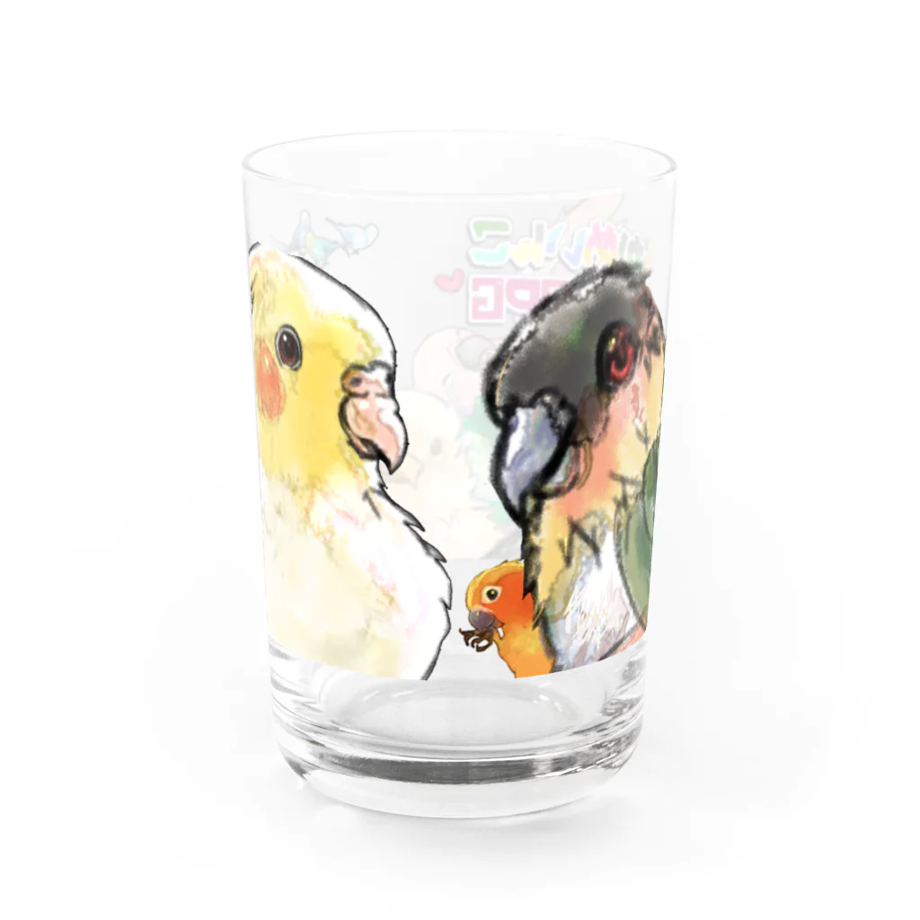 ききのここのインコ盛り合わせ Water Glass :back