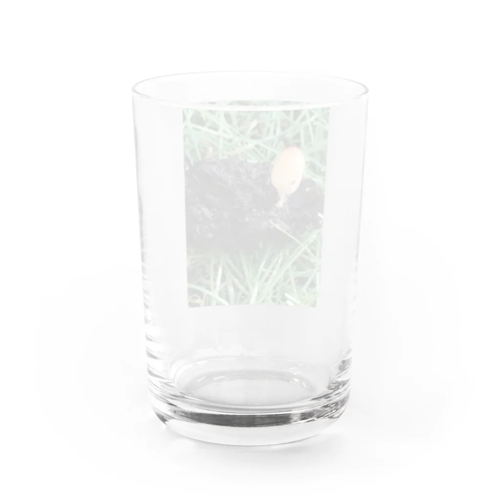 べぽ😇おばのキノコ Water Glass :back