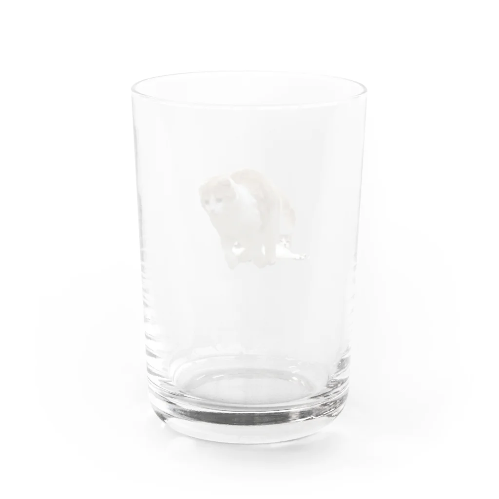 とろのとろおにく Water Glass :back