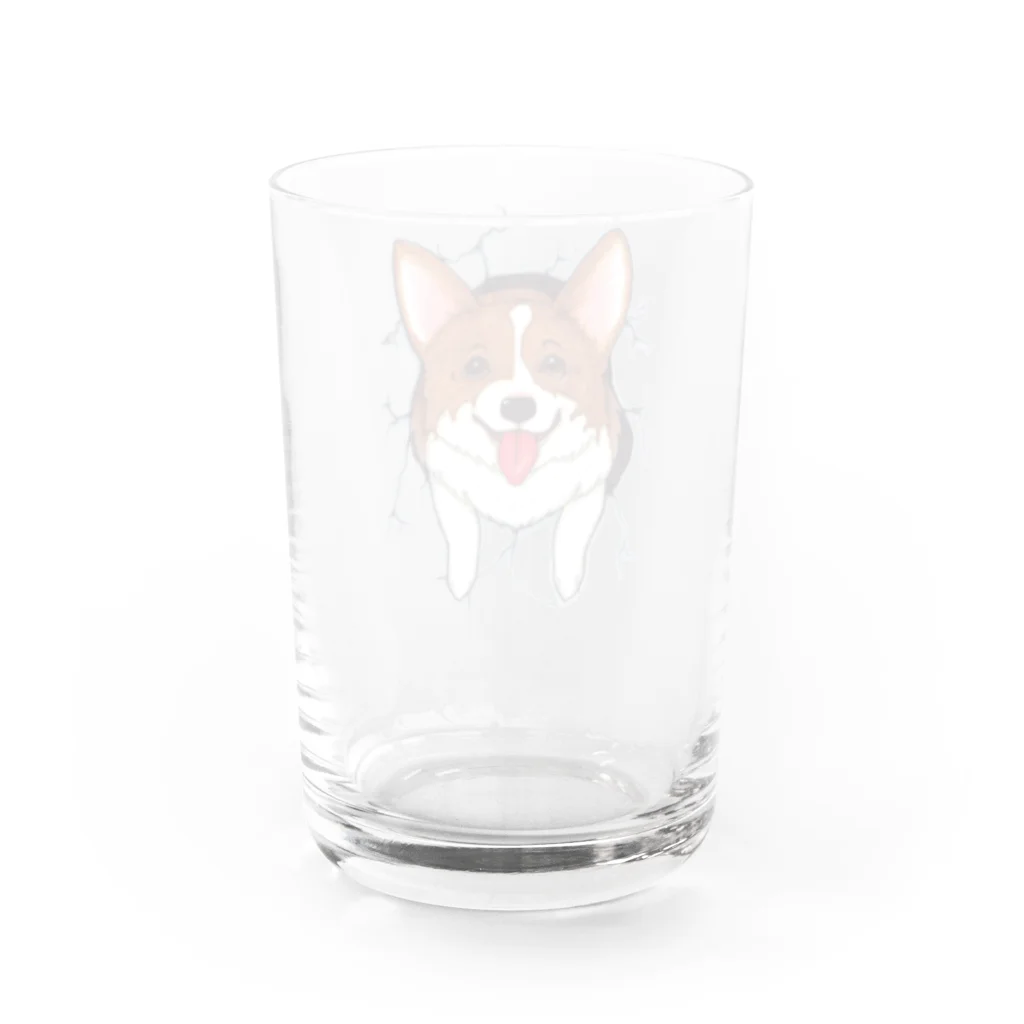 HANA’s NOSE CLIMBINGのCorgi_hana_T01 Water Glass :back