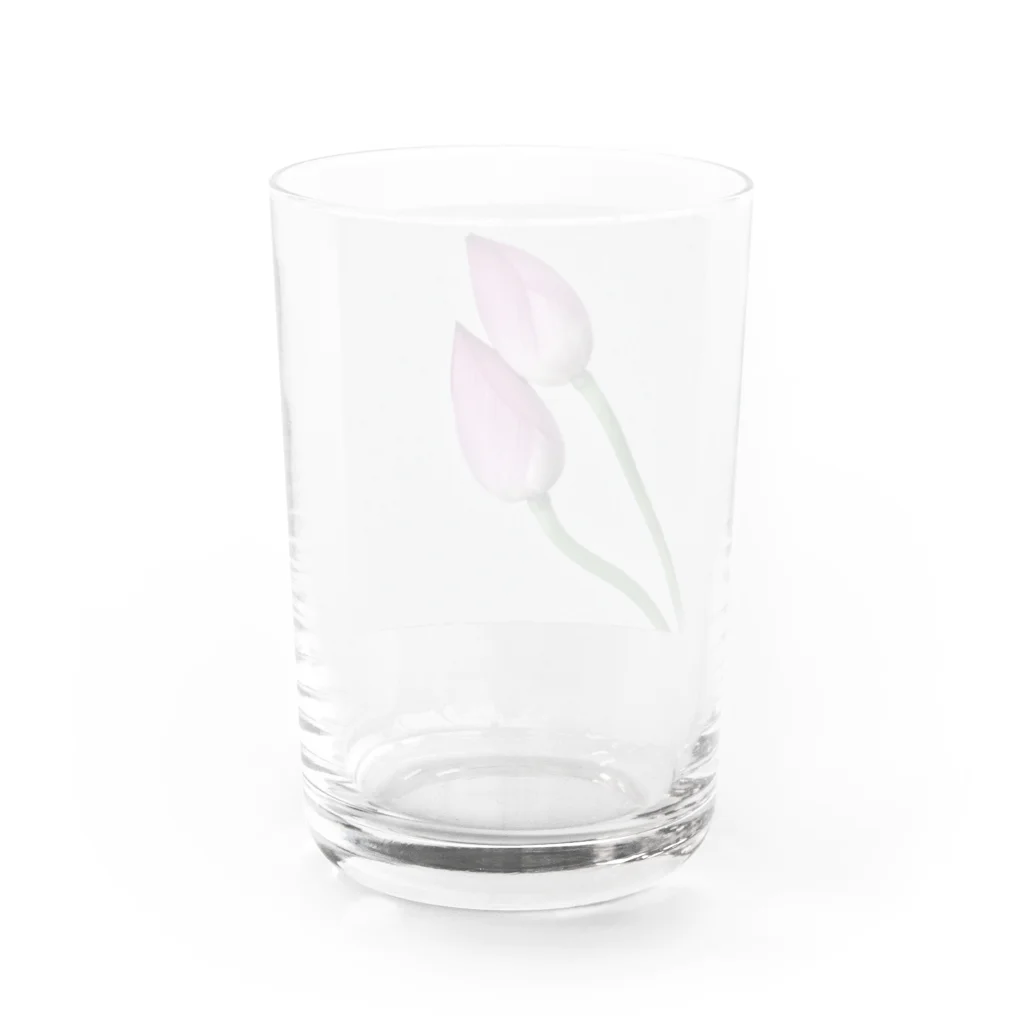 都の蓮の花 Water Glass :back