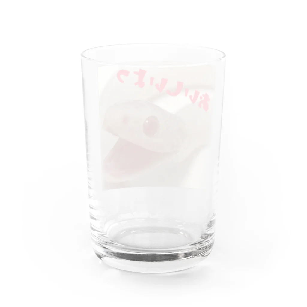 へびも庵のおいしいよっへびもしゃん Water Glass :back