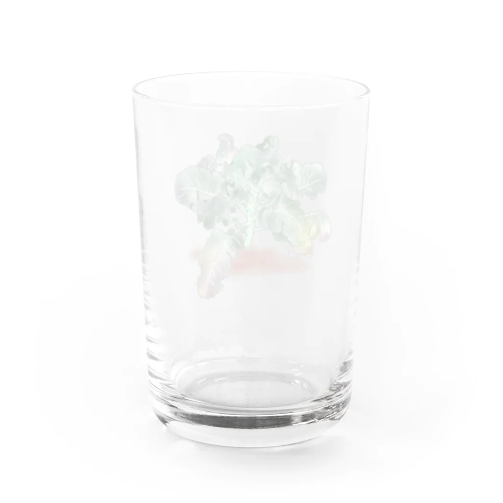 サルハ亭のブロッコリー Water Glass :back