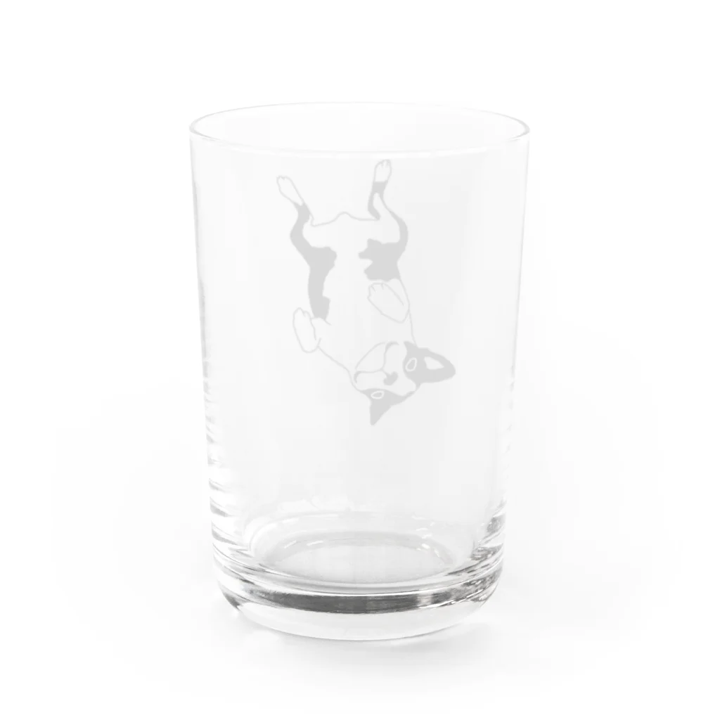 ボストンテリア　うちの子のボストンテリア3 Water Glass :back