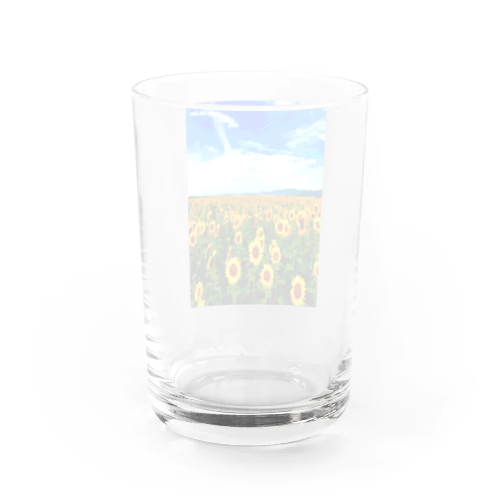 Danke Shoot Coffeeの山元町のヒマワリ畑 Water Glass :back