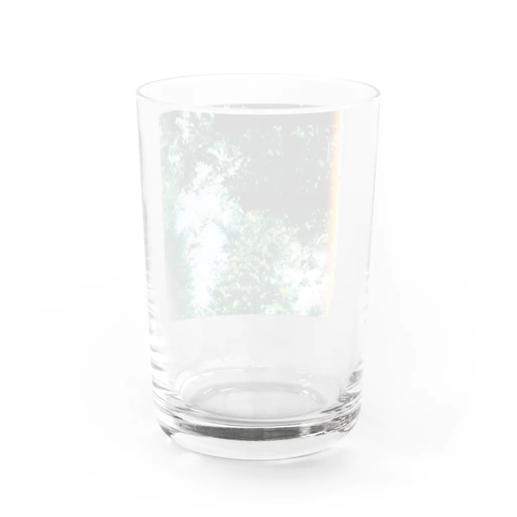 カステラのきらきら Water Glass :back