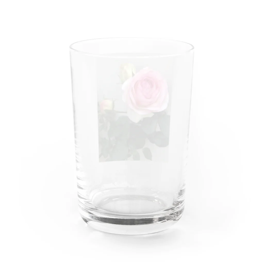 Glowの薔薇 Water Glass :back