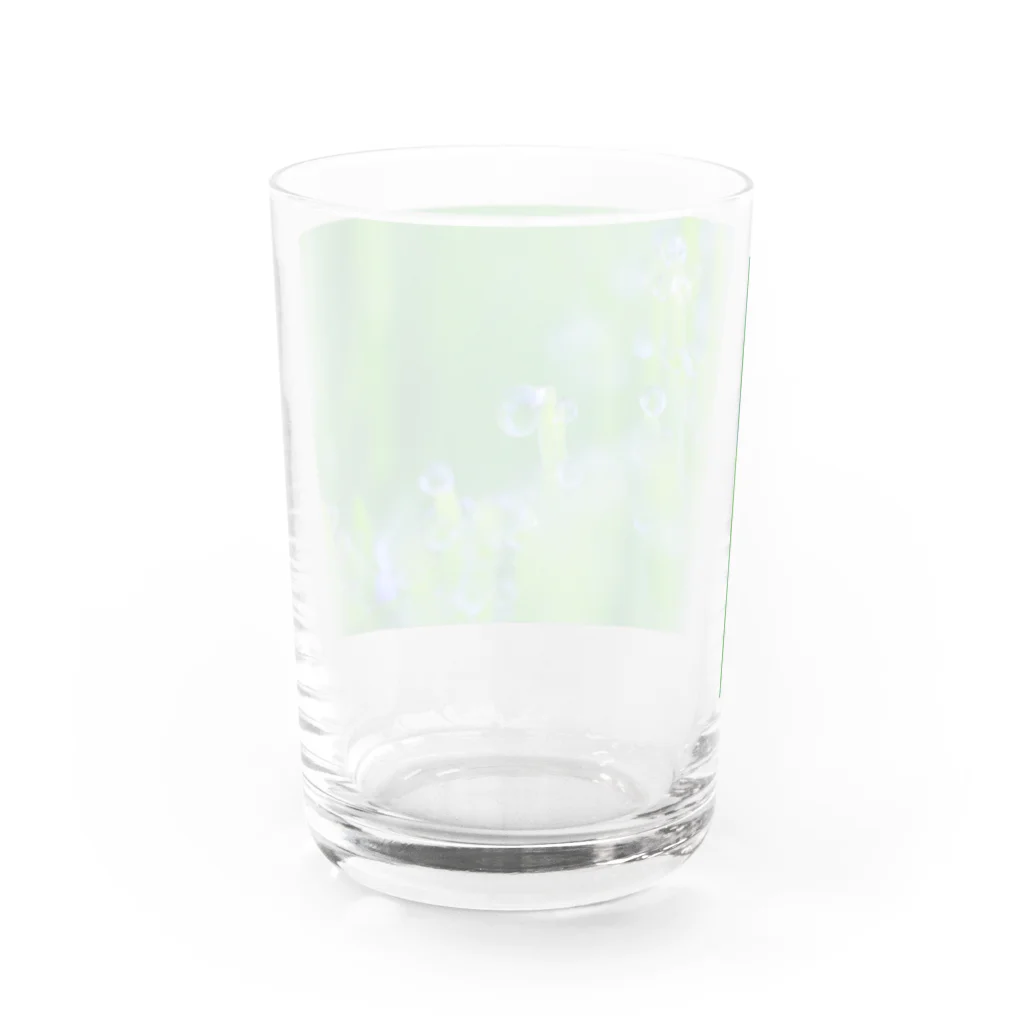 花と緑のみずたま Water Glass :back