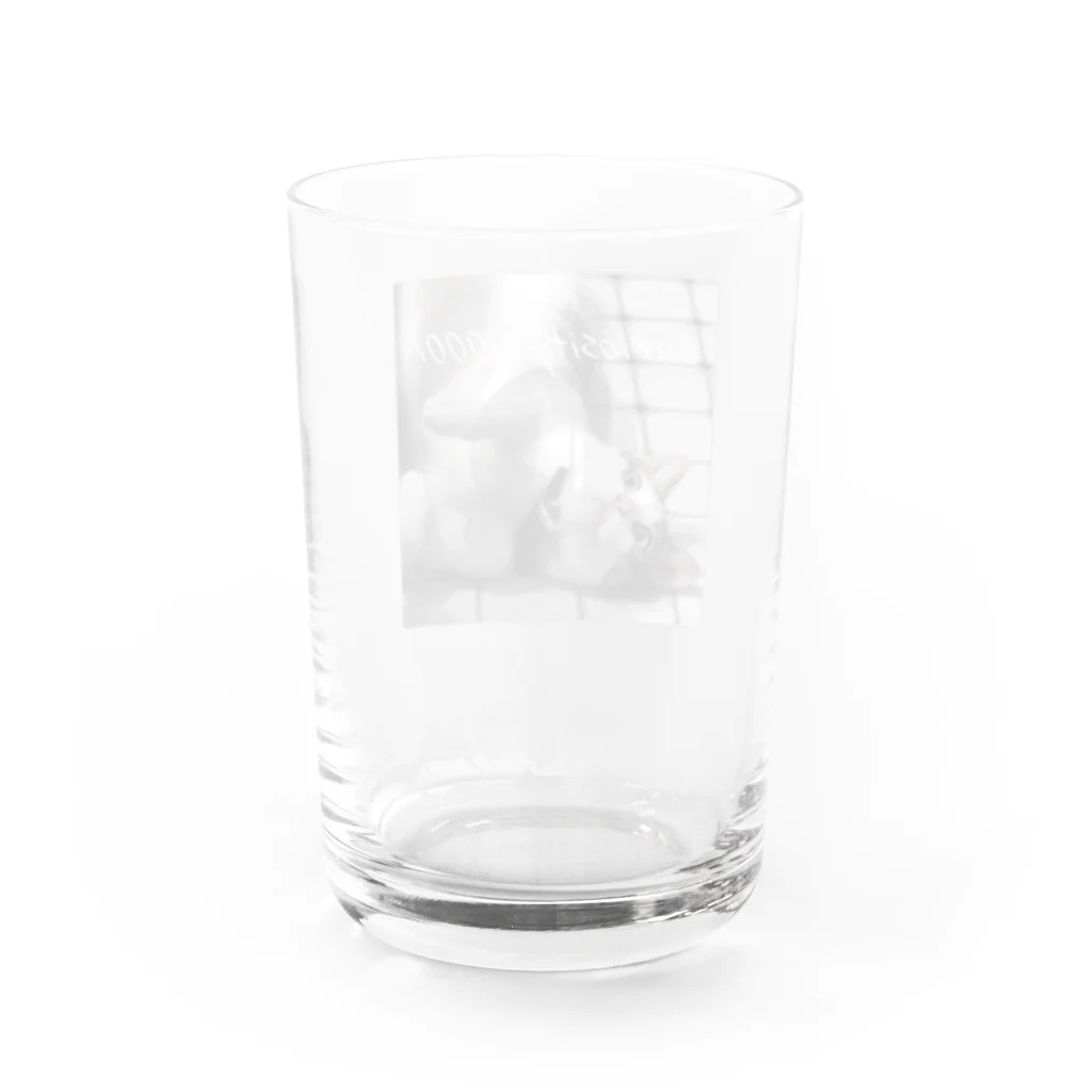 OWAYON ∞ （オワヨン　インフィニティ）の【1000％シリーズ　curiosity cat】 Water Glass :back