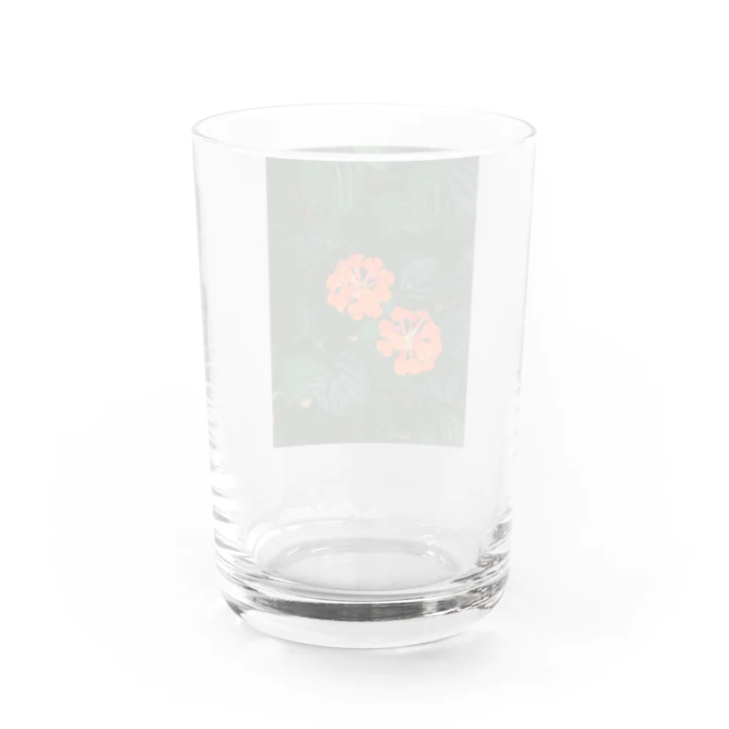 Gohanの花 Water Glass :back