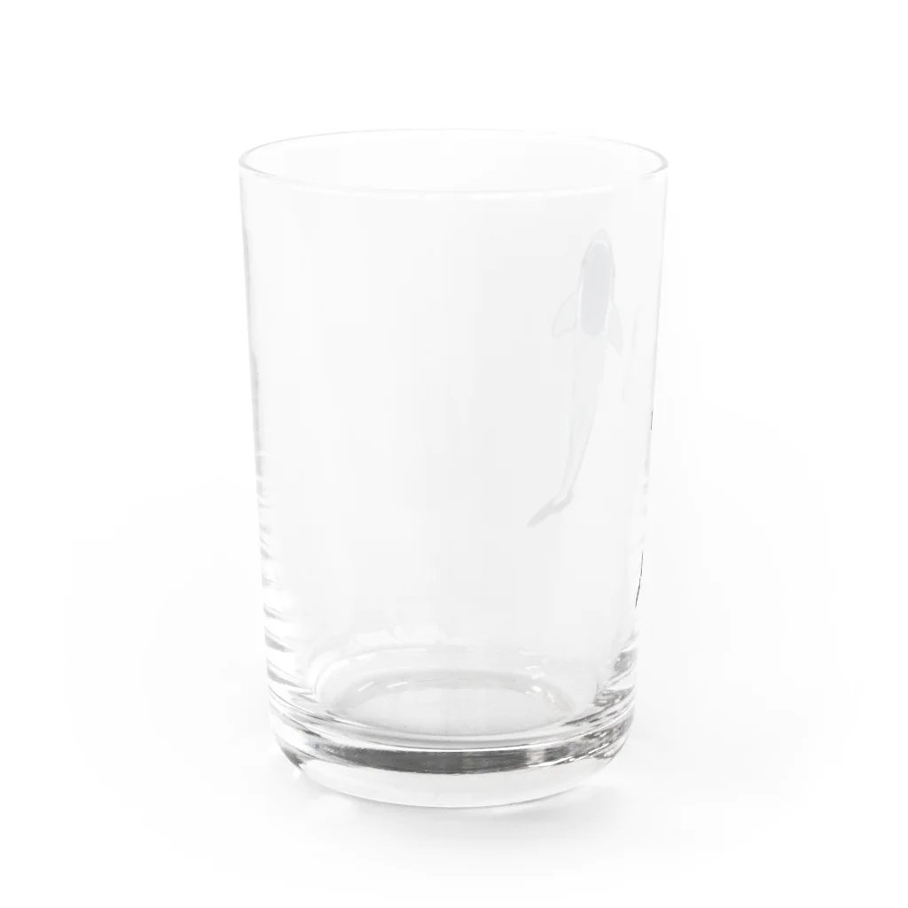 8m【アトリエvesii】のコバンザメ グラス グラス反対面