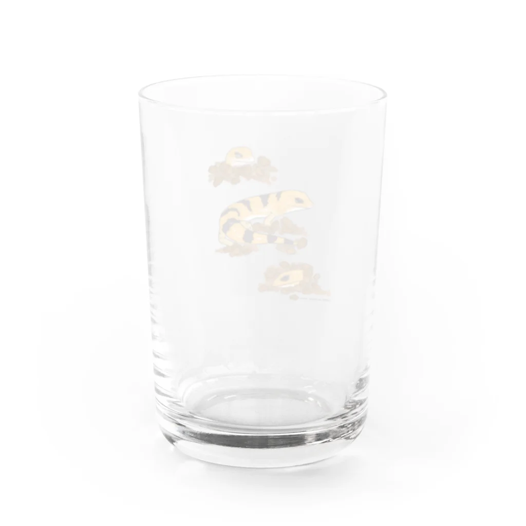 しろくまるいるいと動物たちの爬虫類さんたち〜ピーターズ Water Glass :back