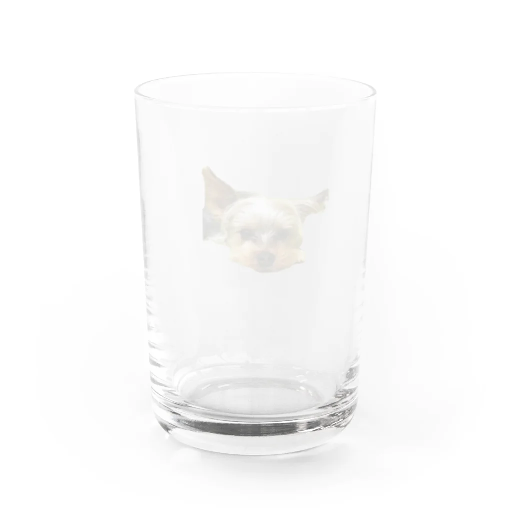 ayatan3939のヨーキー Water Glass :back