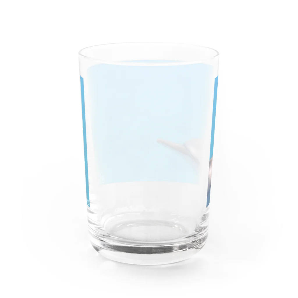 hawaiitaroハワイグッズショップのハワイドルフィン Water Glass :back