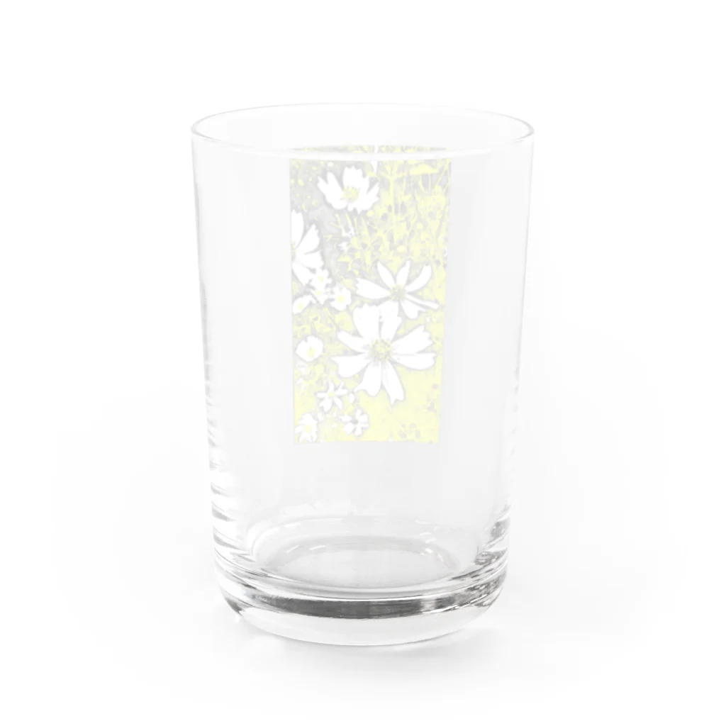 マロマロの秋桜 Water Glass :back