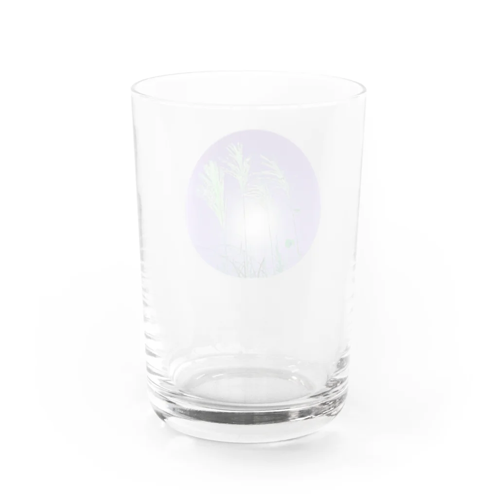 マロマロの月とススキ Water Glass :back