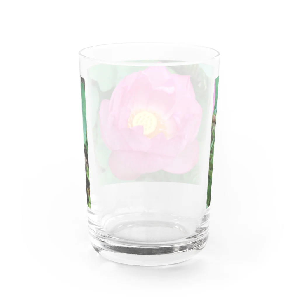 namaste99の蓮の花 Water Glass :back