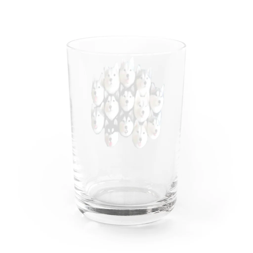 Danke Shoot Coffeeのハスキー13面相 Water Glass :back