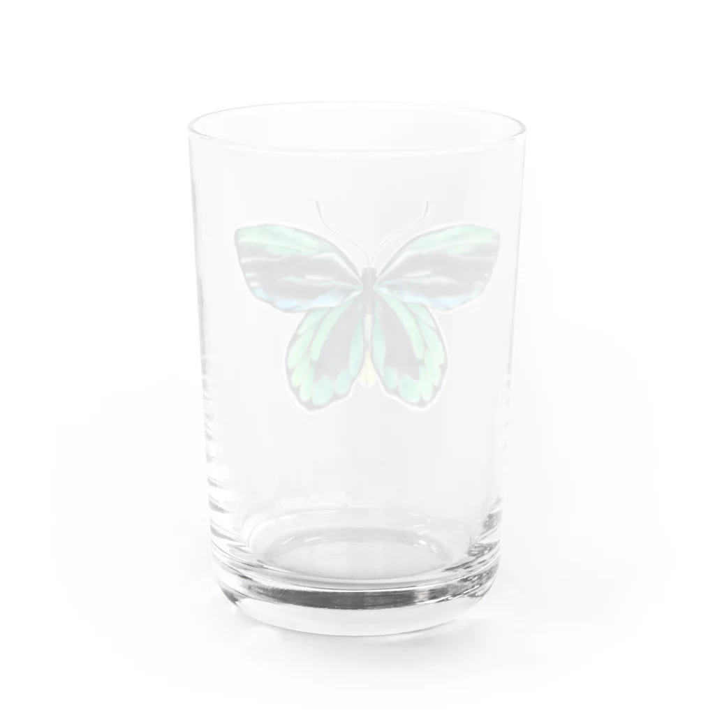 シヲのアレキサンドラトリバネアゲハ Water Glass :back