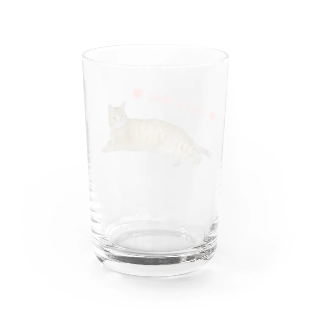 えみちーず（元野良と保護猫の為に🐾）のチャトラまったり🐾（さくら猫） Water Glass :back