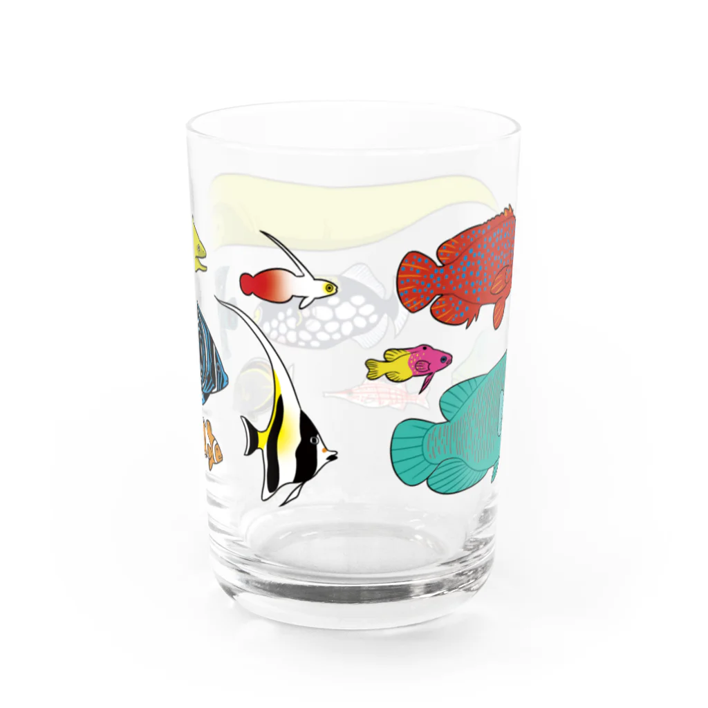 kasugaDNの海水！熱帯魚グラス/color Water Glass :back