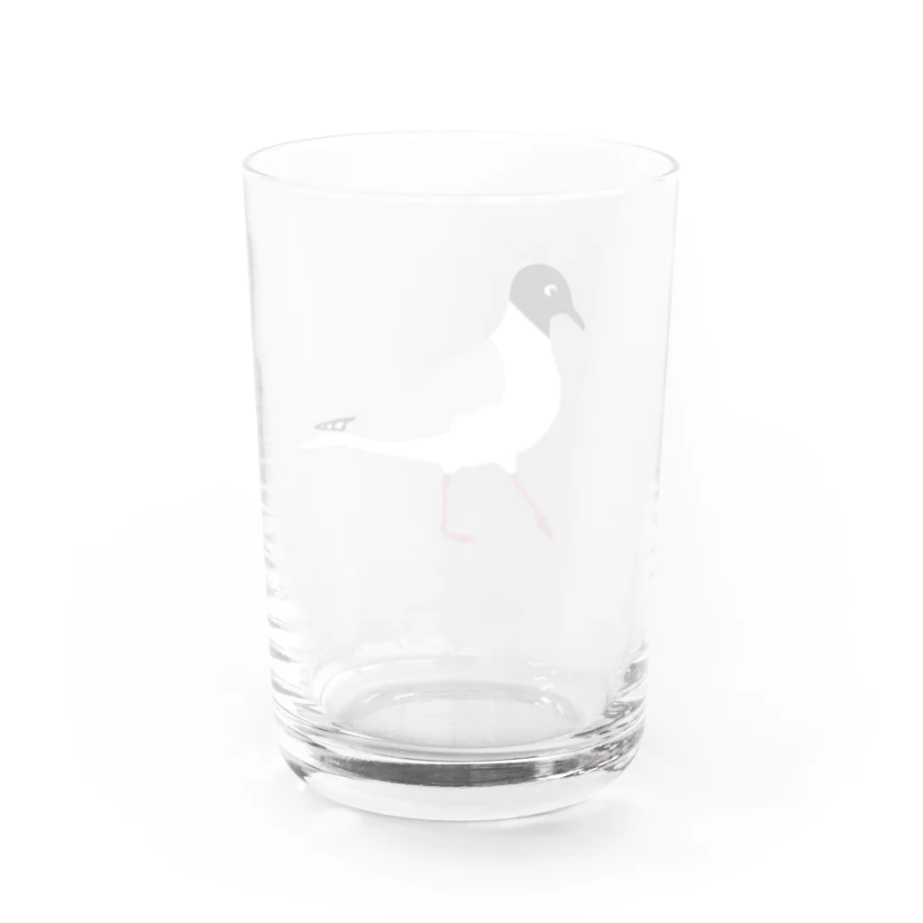 minatoriのズグロカモメ Water Glass :back