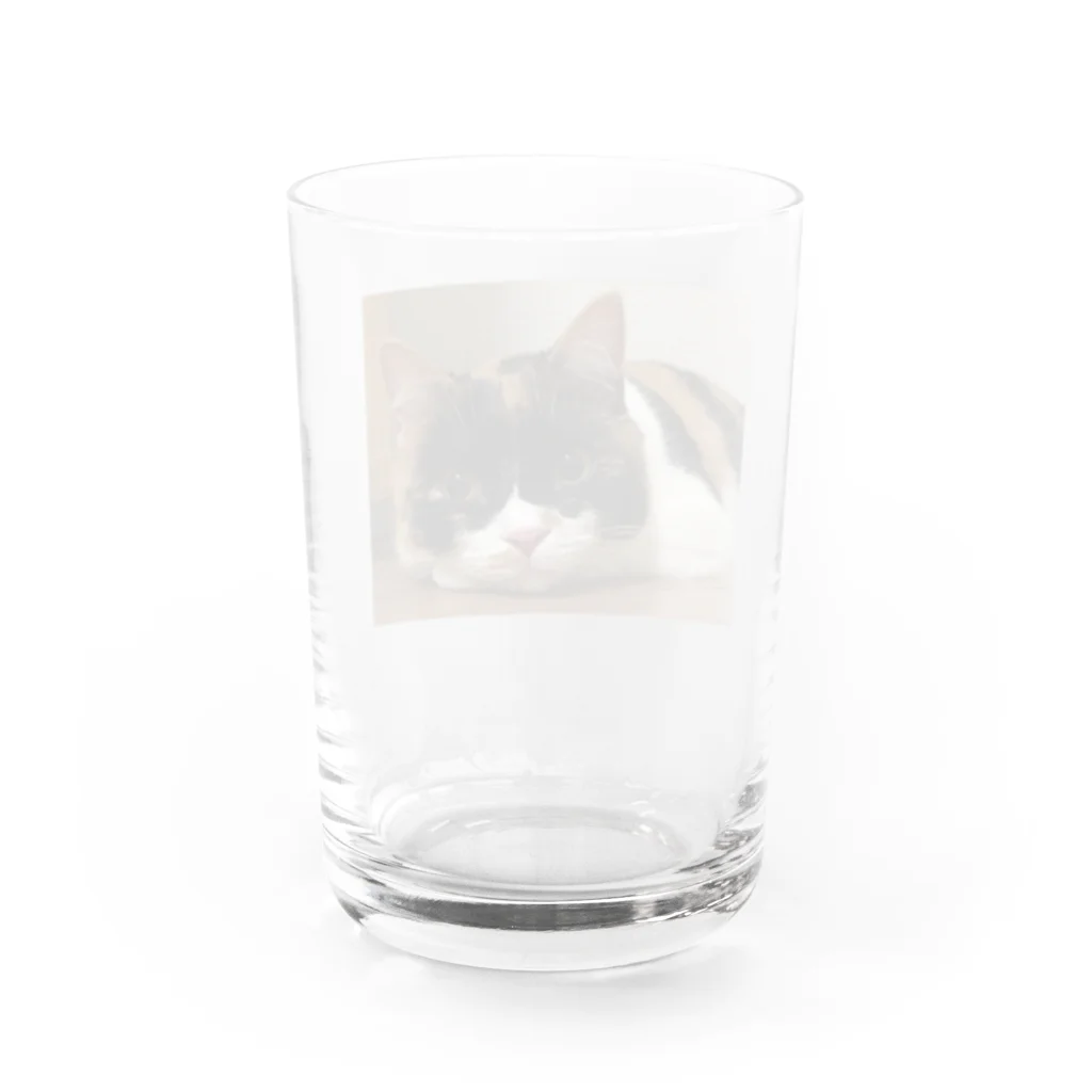 りーたんのんたんのりーたん Water Glass :back