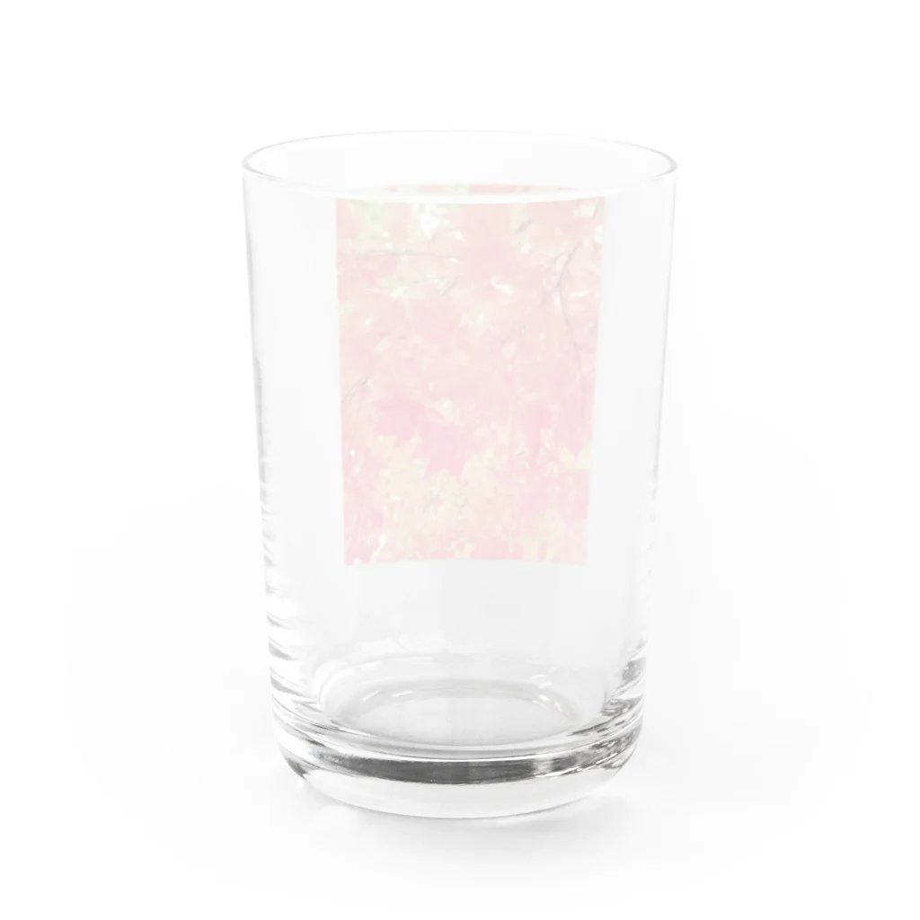 ごま店のAKI2 Water Glass :back