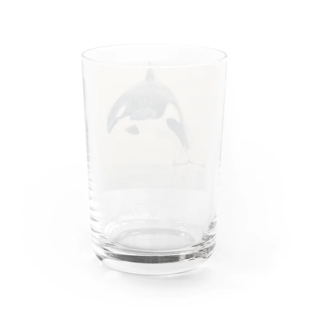 Ori-iro　イルカやシャチをお届け！のクーピーシャチ Water Glass :back