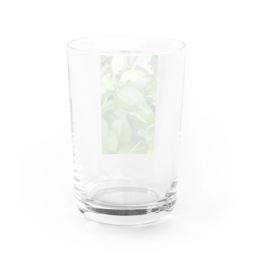 ocheycheyのもう少しのレモンちゃん Water Glass :back