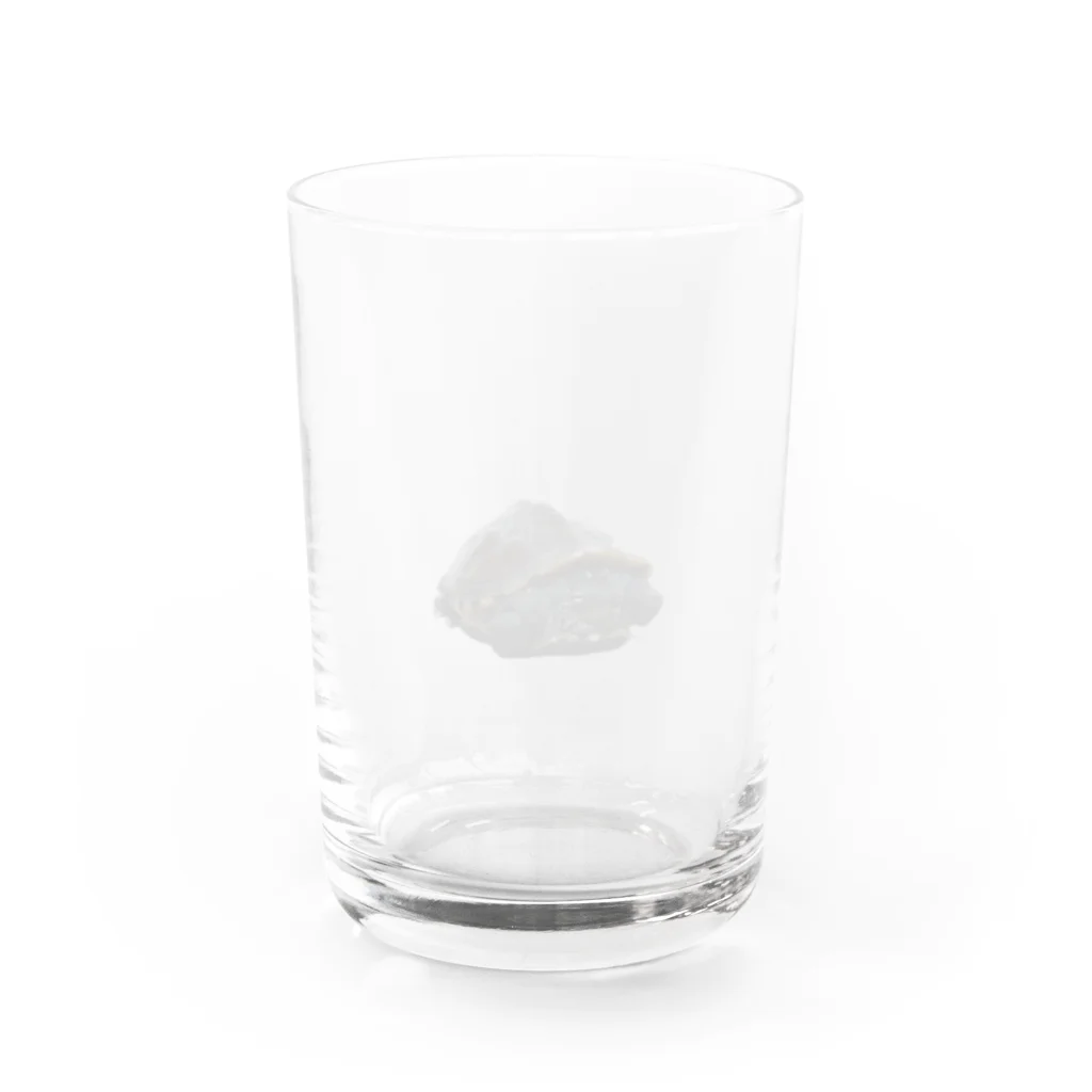 DNS PETのゼニガメのきん Water Glass :back