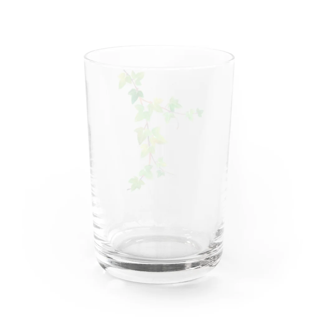 Ashidoriのアイビー Water Glass :back