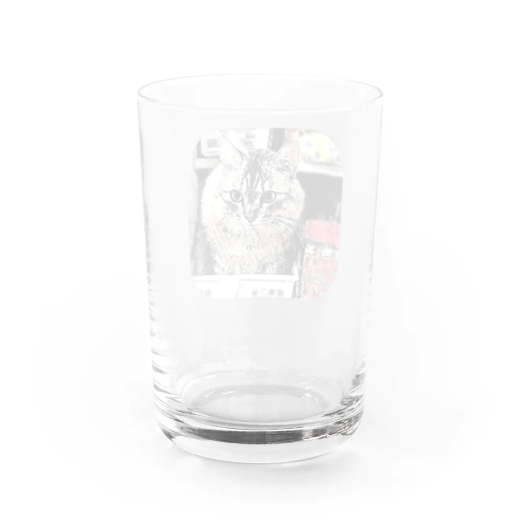 マロマロのMAROchan 入っちゃった Water Glass :back