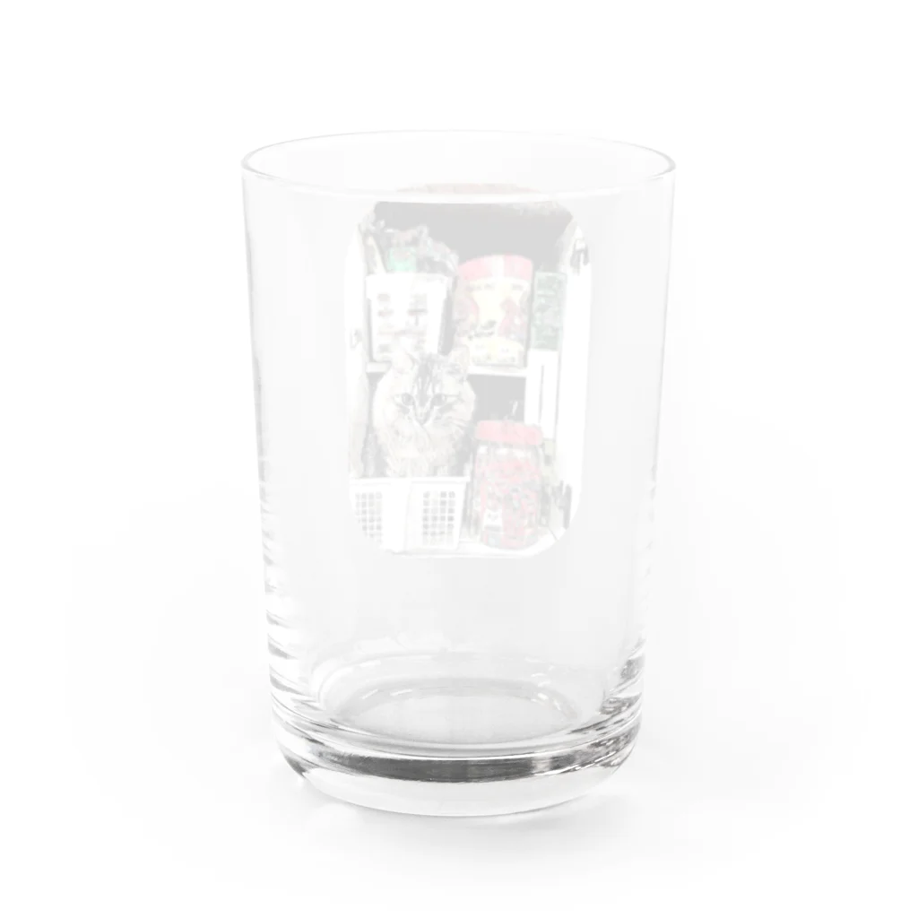 マロマロのMAROchan 入っちゃった(全体バージョン) Water Glass :back