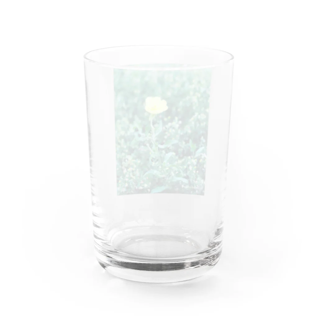 wish&futureの月見草 Water Glass :back