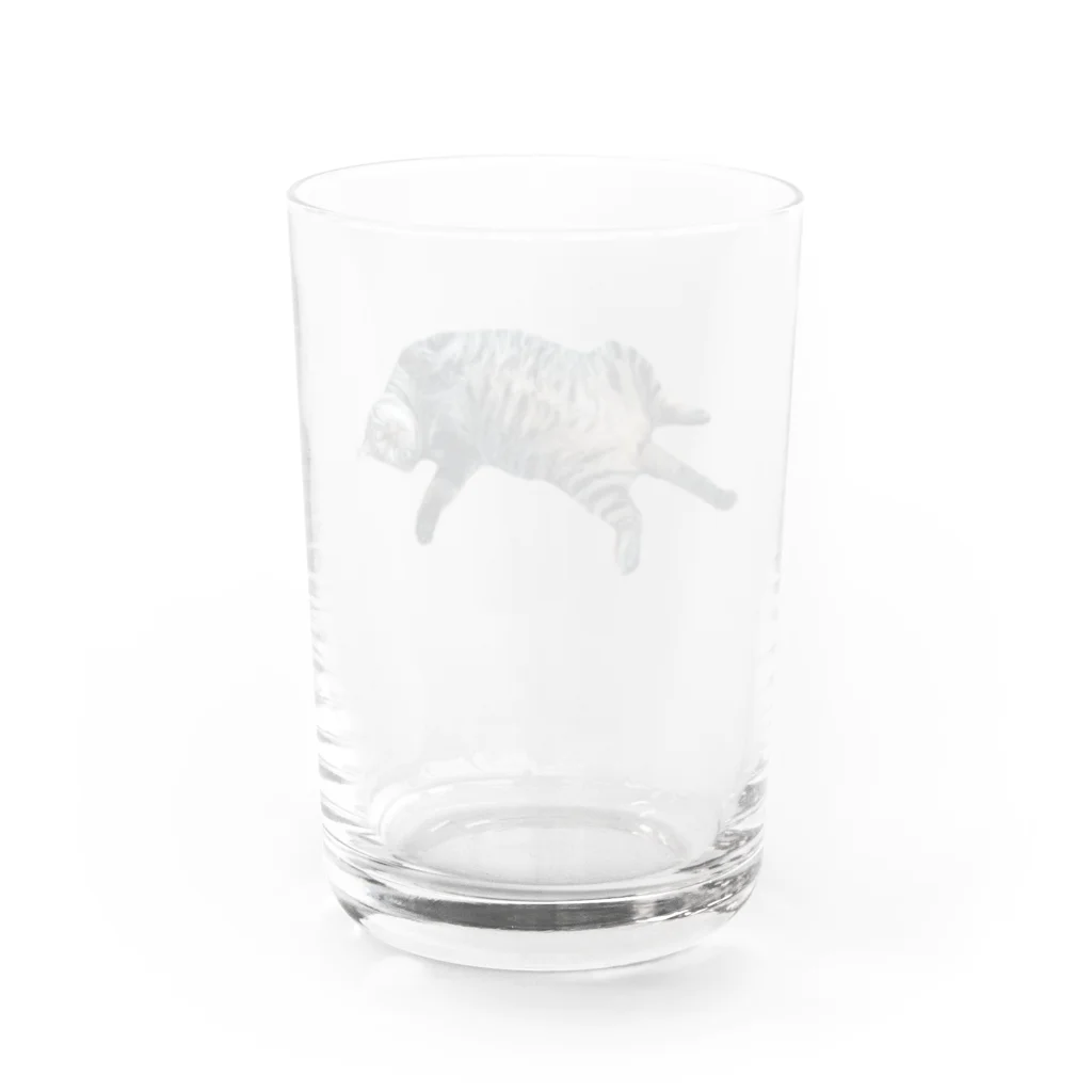 k_iの猫の空くん Water Glass :back