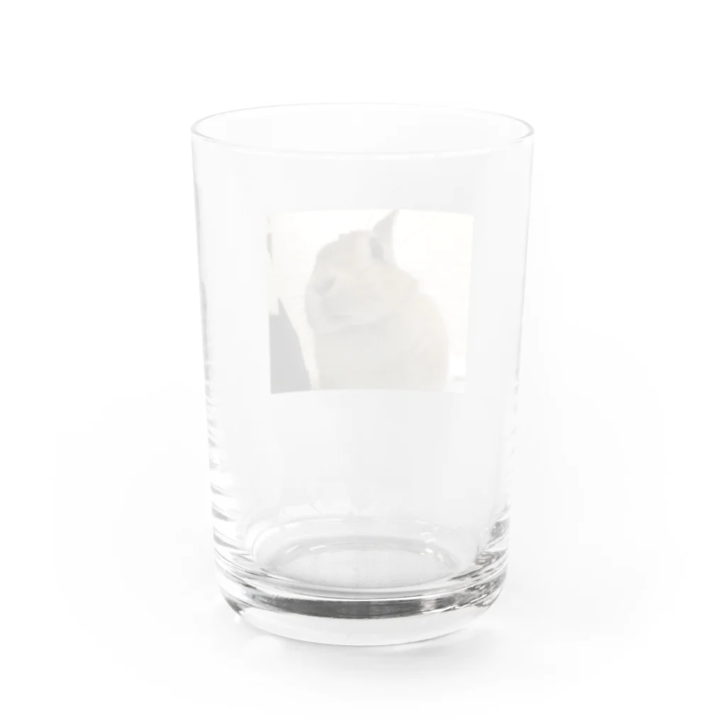 うさこSHOPのうさ子のグラス Water Glass :back