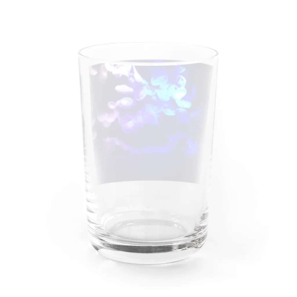 Boppy Bopの海月ナイトアクアリウム Water Glass :back