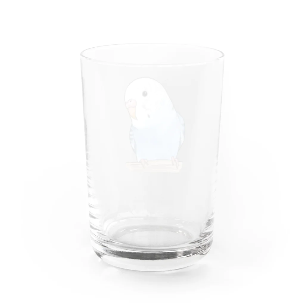 まめるりはことりのおしゃまな止まり木セキセイインコちゃん【まめるりはことり】 Water Glass :back