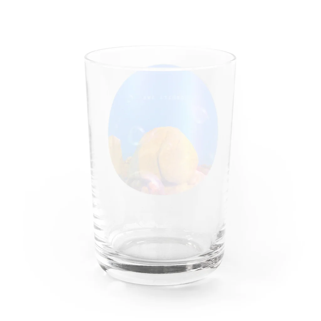 kunisakiokosunjarの国東おしり岩 Water Glass :back