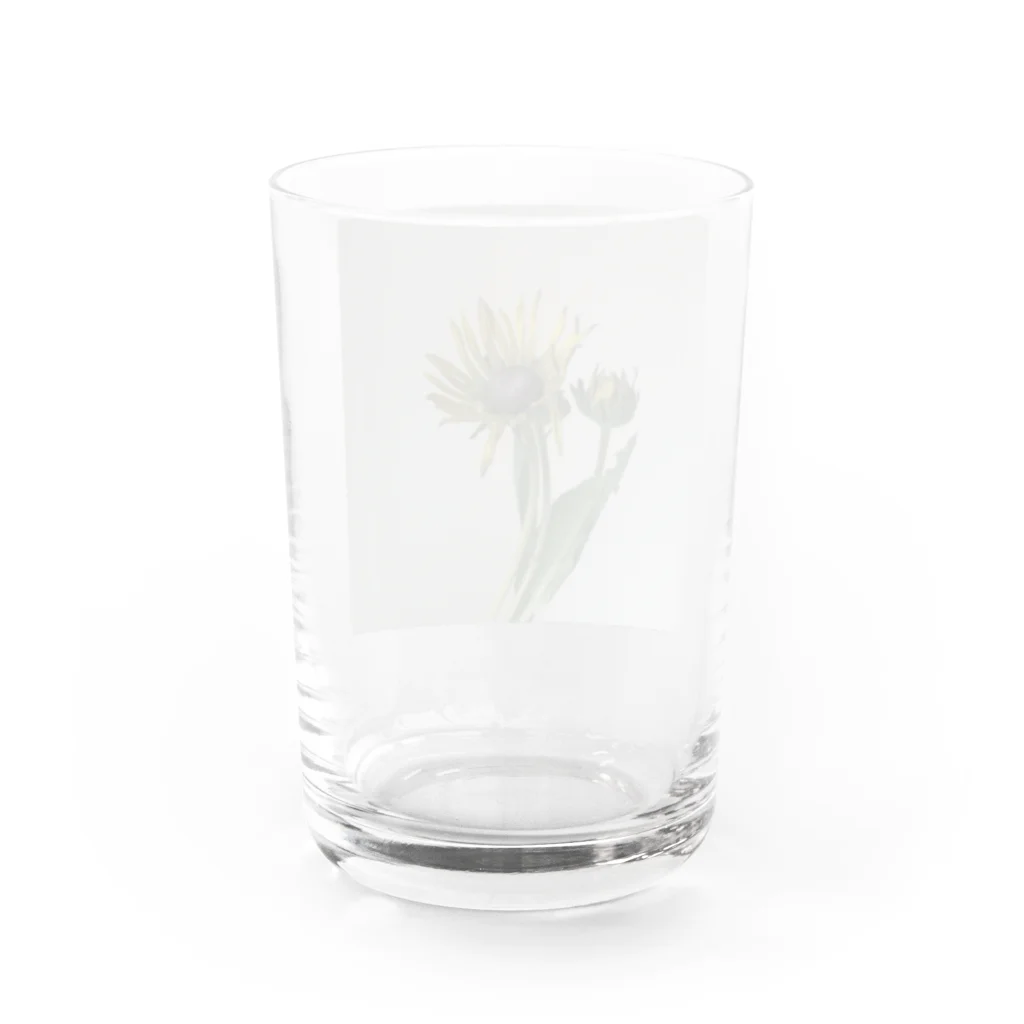 はづきのエレクトラショック Water Glass :back