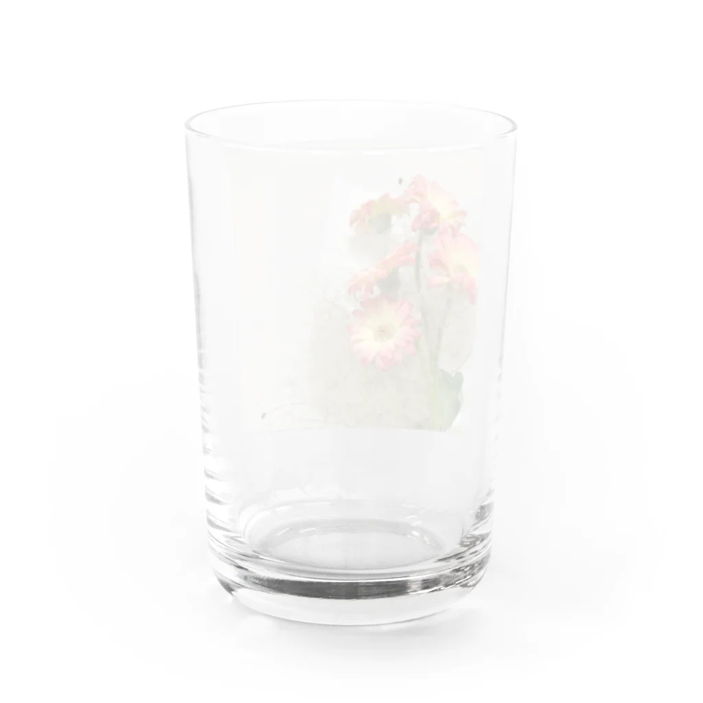 はづきのガーベラ×スモークツリー Water Glass :back