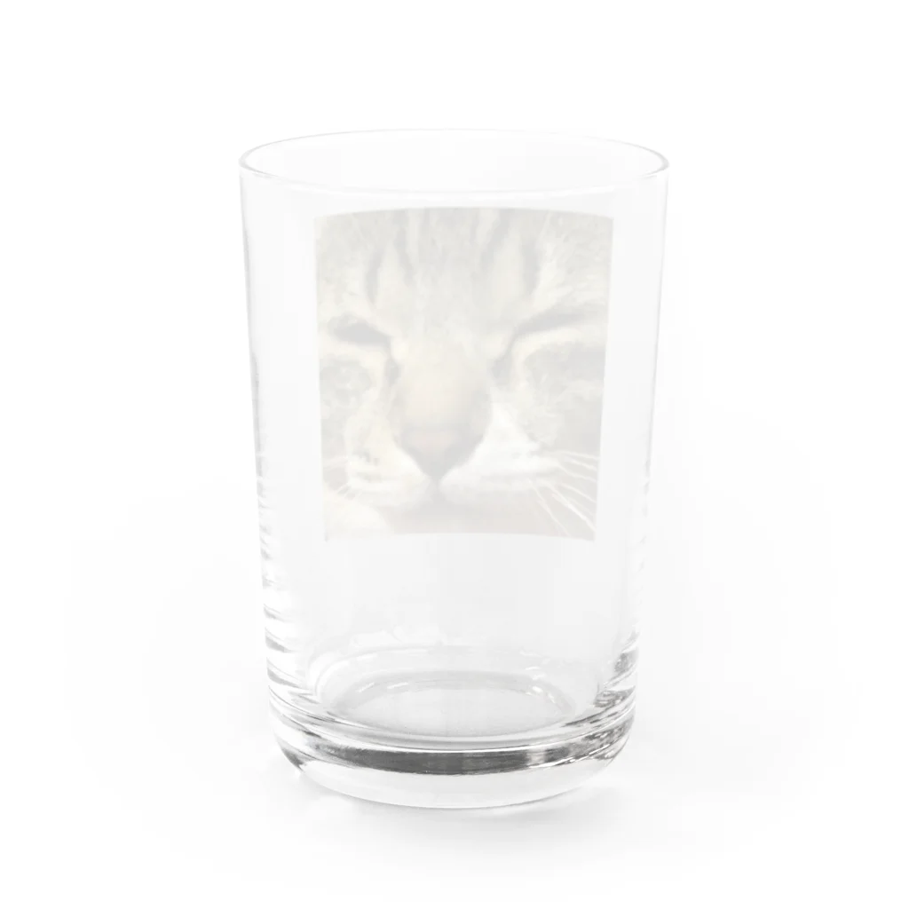 はづきの😣 Water Glass :back